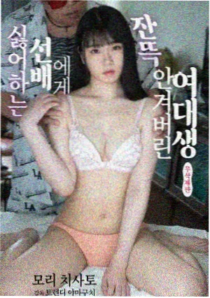星河视频VIP家庭剧集静水镇封面